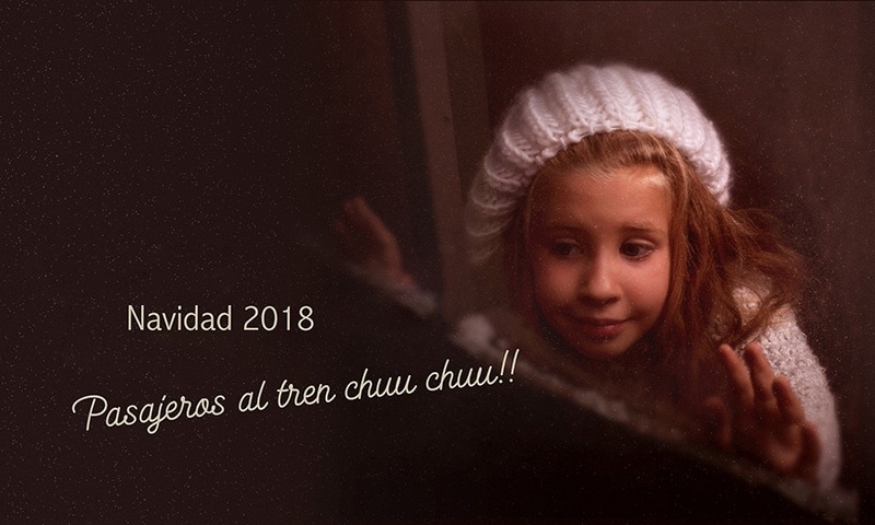 Lee más sobre el artículo Mini Sesiones de Navidad 2018