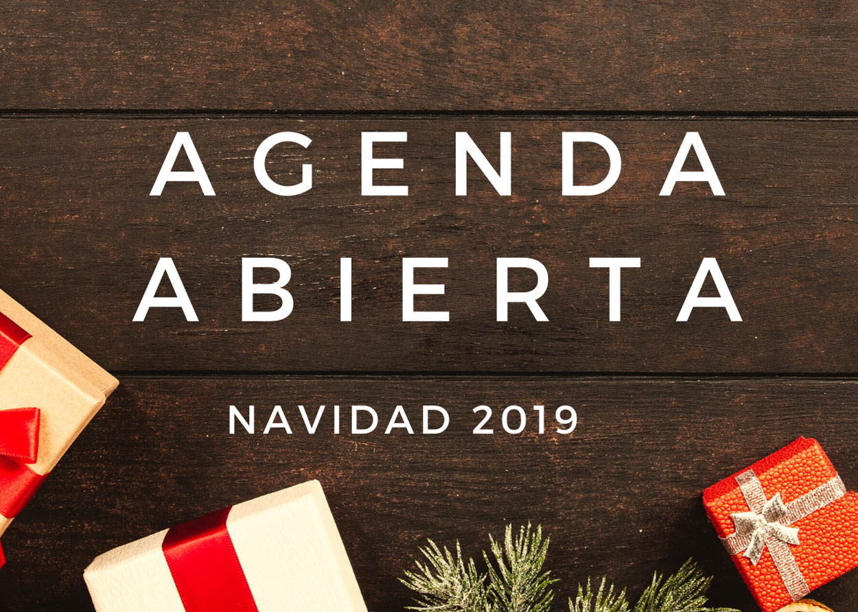 Lee más sobre el artículo Navidad 2019